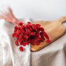 phalaris-rouge-botte-fleurs-sechees