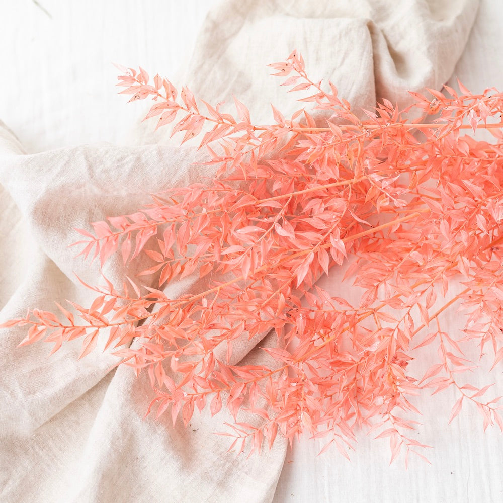 Botte de ruscus corail séché - Flowrette